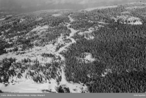 Wyllerløypa 1951.jpg