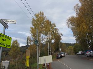 Zinoberveien Oslo 2013.jpg